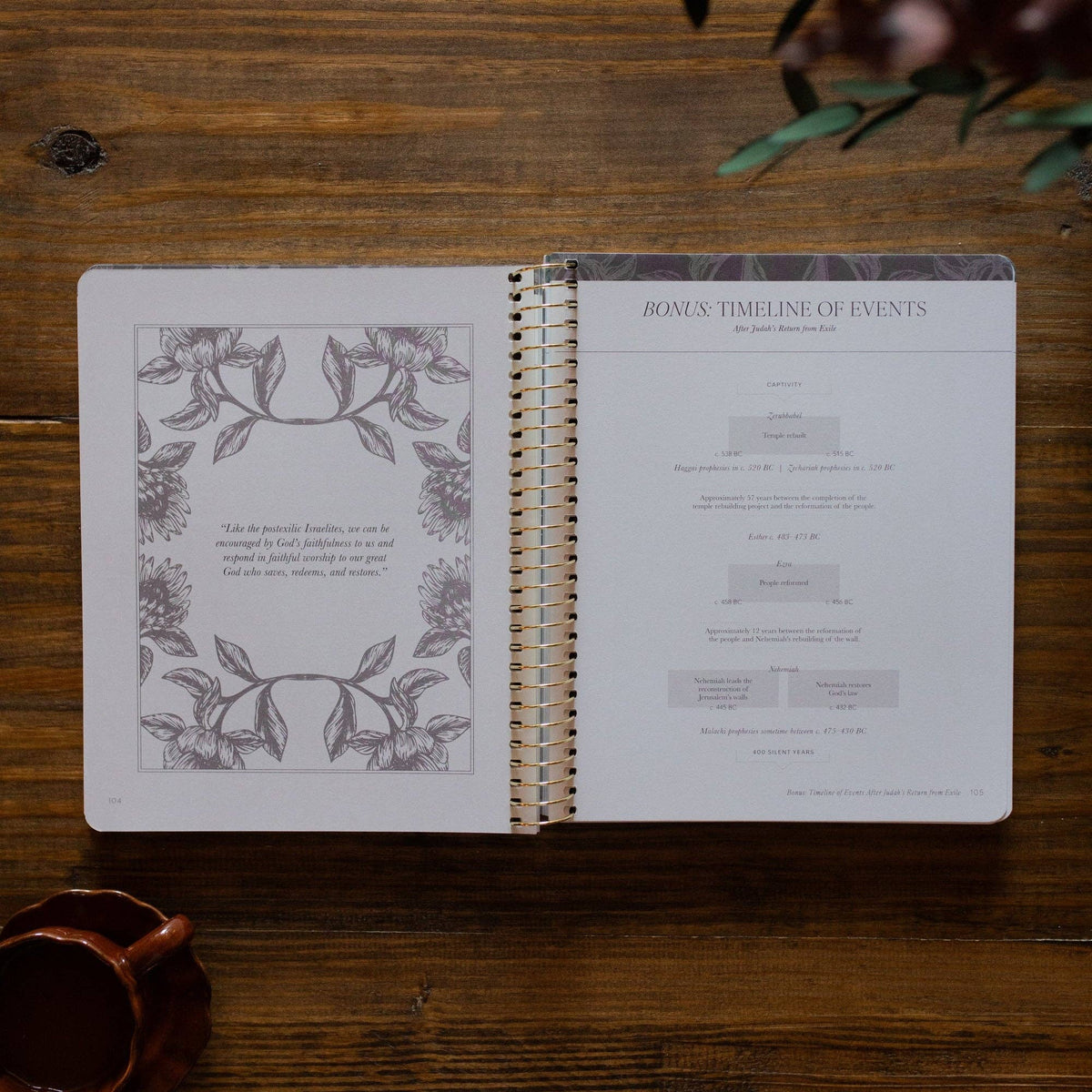 A Year in the Bible | 365 Days of Discovering the Beauty of Jesus from ...