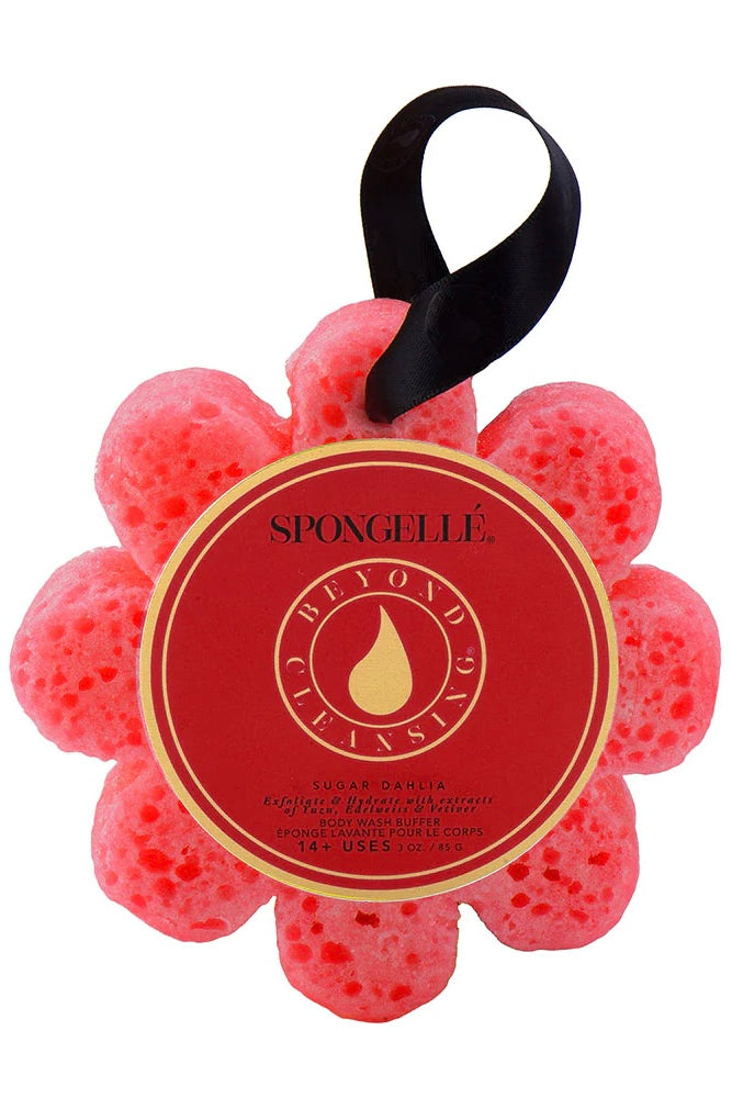 Spongellé Flower- Sugar Dahlia