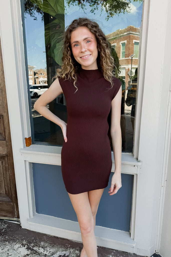 Vera Brown Dress