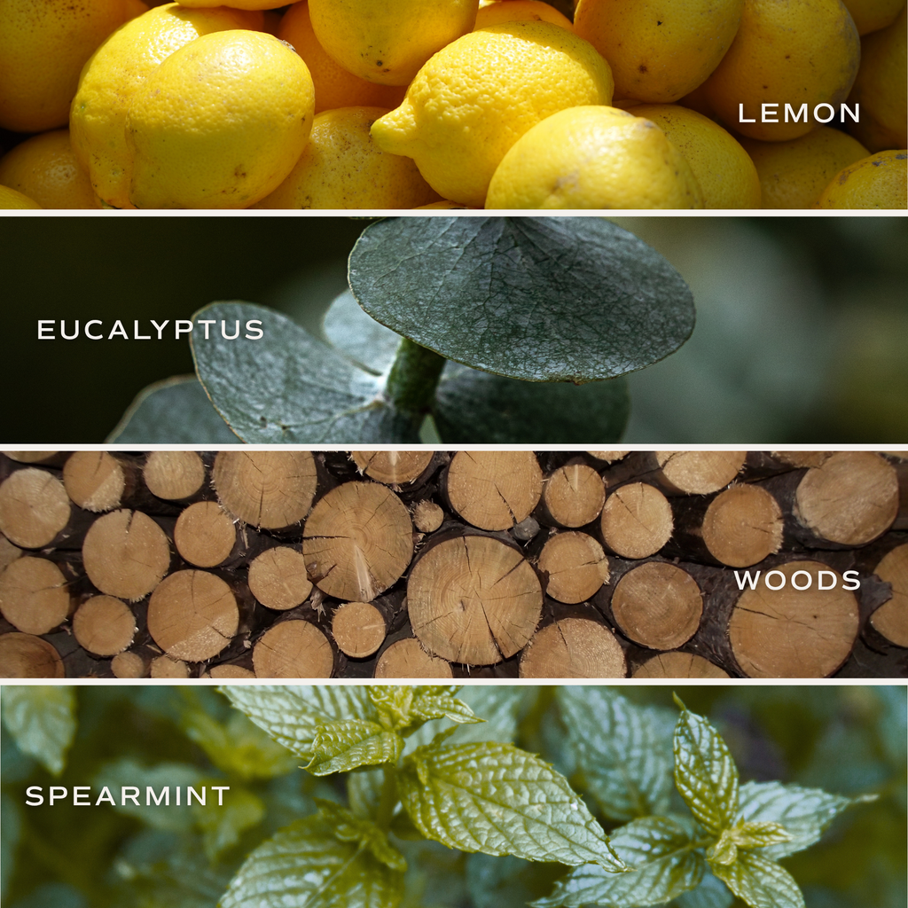 Stress Relief 4.6 oz Bath Bomb