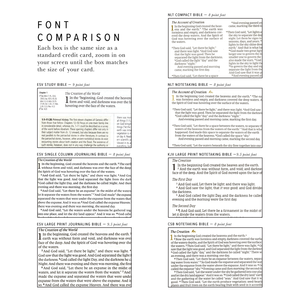 KJV Large Print Notetaking Bible: Shiloh Theme