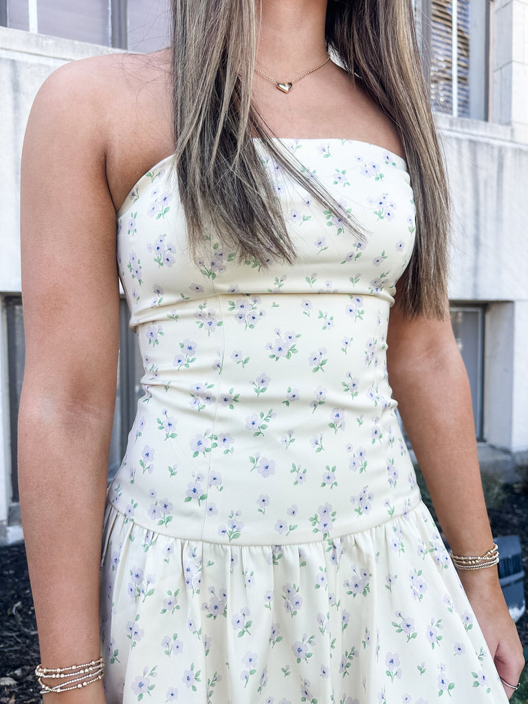 callie mini dress The Callie Mini Dress