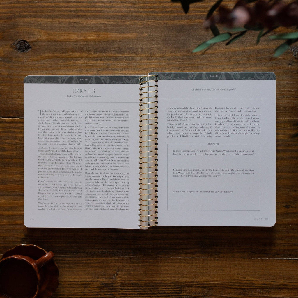 A Year in the Bible | 365 Days of Discovering the Beauty of Jesus from Genesis to Revelation | Volume 2